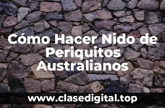Cómo Hacer Nido de Periquitos Australianos