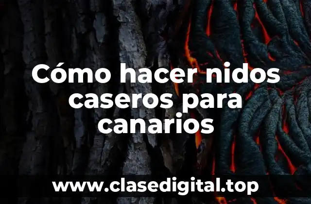 Cómo hacer nidos caseros para canarios