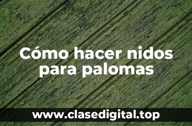 Cómo hacer nidos para palomas