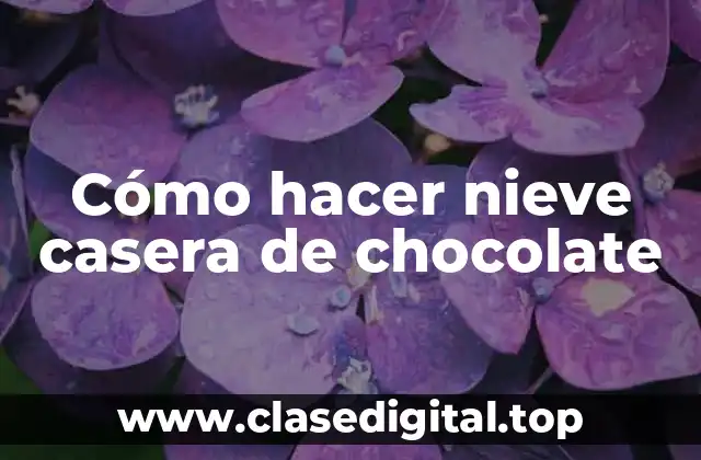 ¿Qué es la nieve casera de chocolate y para qué sirve?