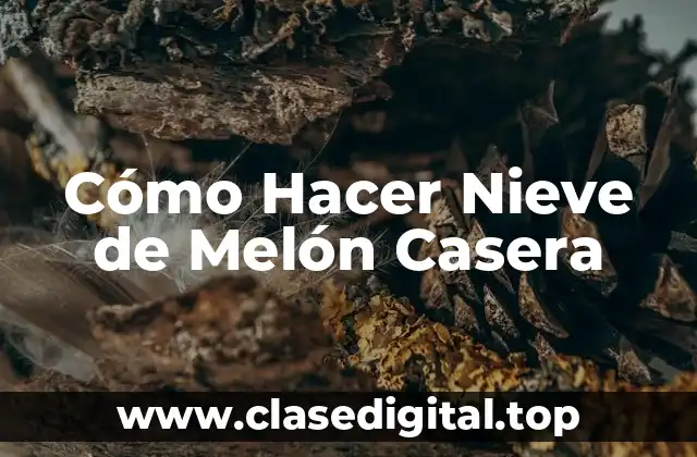 ¿Qué es la Nieve de Melón Casera?