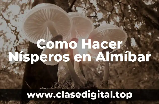 Como Hacer Nísperos en Almíbar