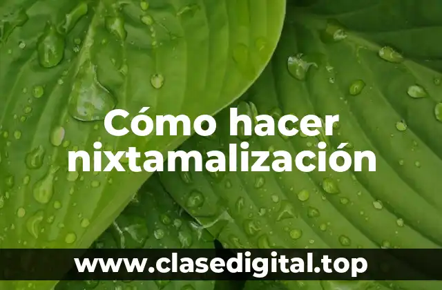 Cómo hacer nixtamalización