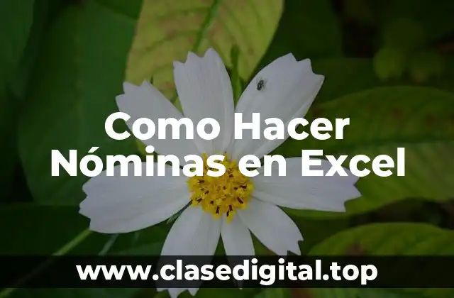 Como Hacer Nóminas en Excel