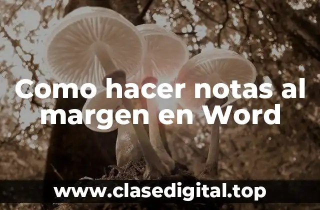 Como hacer notas al margen en Word