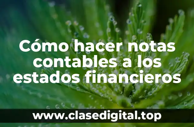 Cómo hacer notas contables a los estados financieros