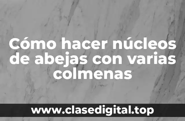 Cómo hacer núcleos de abejas con varias colmenas