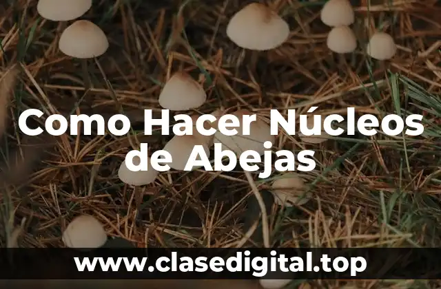 Como Hacer Núcleos de Abejas