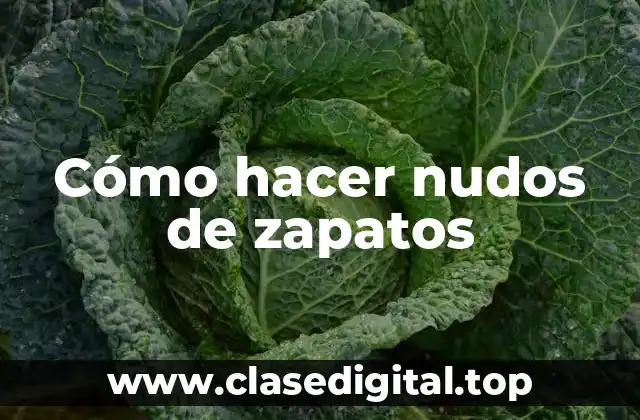Cómo hacer nudos de zapatos