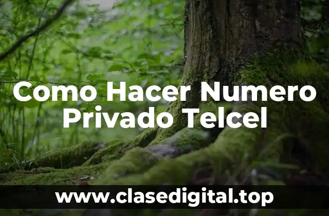 Como Hacer Numero Privado Telcel