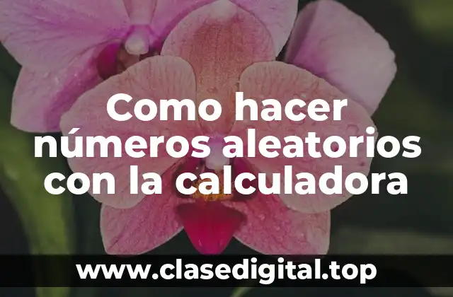 ¿Qué son los números aleatorios y cómo se generan con la calculadora?