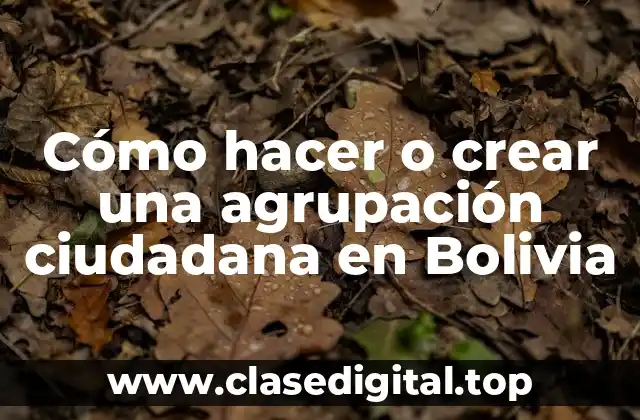 ¿Qué es una agrupación ciudadana en Bolivia?