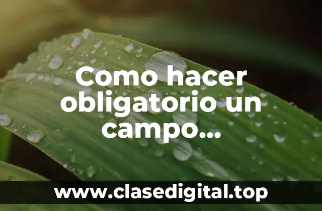 Como hacer obligatorio un campo dinamicamente en ExtJS 3.4