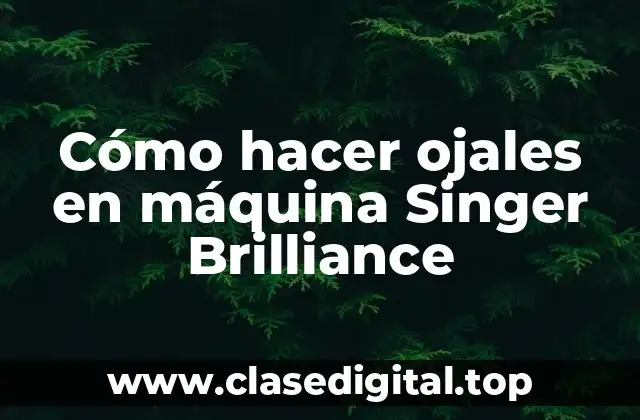 Cómo hacer ojales en máquina Singer Brilliance