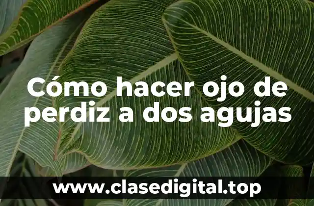 Cómo hacer ojo de perdiz a dos agujas