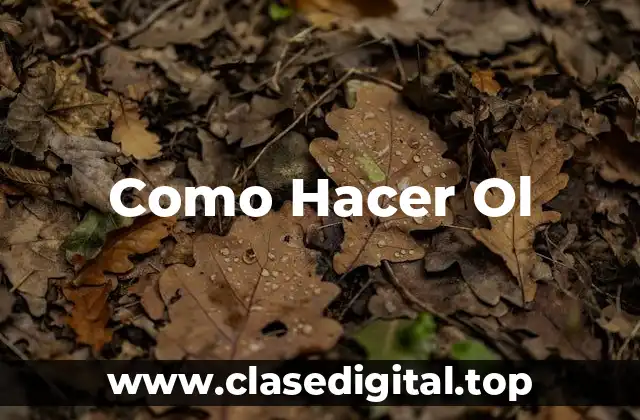 Como Hacer Ol: qué es y para qué sirve