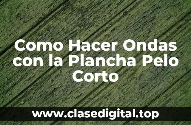 Qué es una Plancha de Pelo y Cómo se Usa