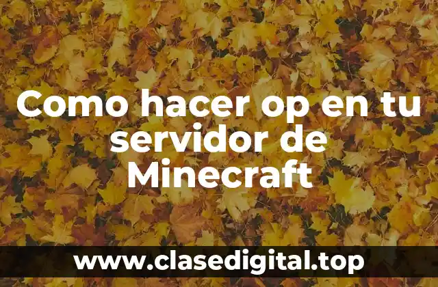 Como hacer op en tu servidor de Minecraft