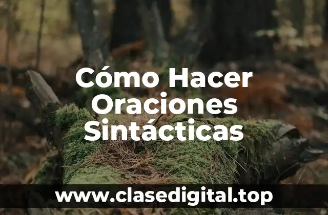 Cómo Hacer Oraciones Sintácticas