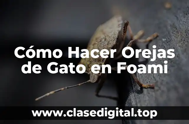 Cómo Hacer Orejas de Gato en Foami