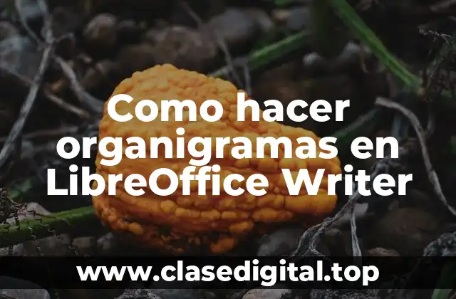 ¿Qué es un organigrama y cómo se usa en LibreOffice Writer?