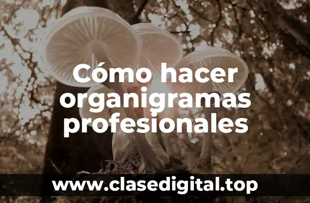 Cómo hacer organigramas profesionales