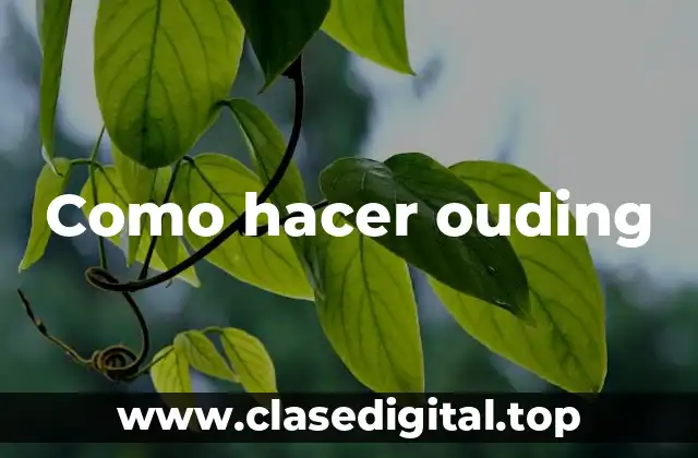 Como hacer ouding