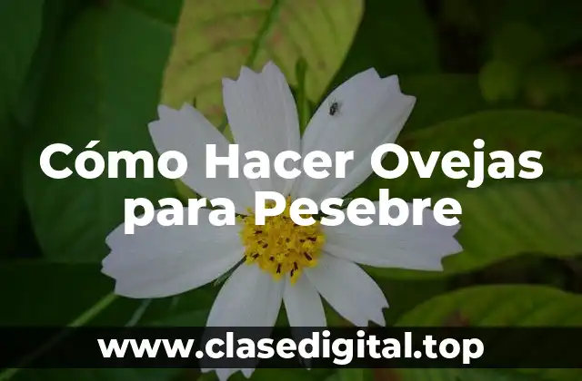 Cómo Hacer Ovejas para Pesebre