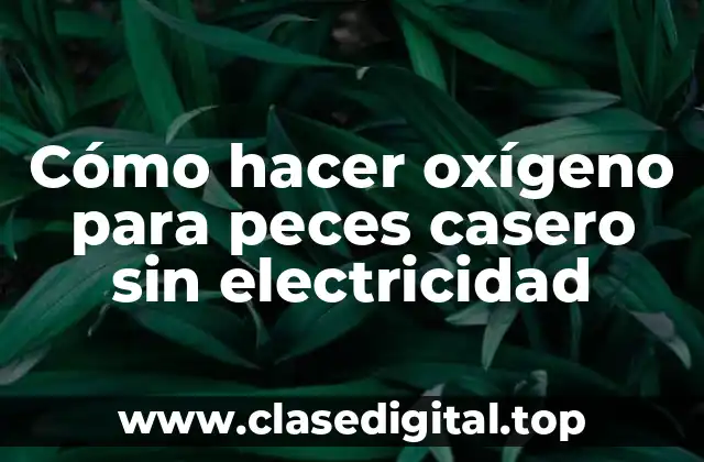 Cómo hacer oxígeno para peces casero sin electricidad