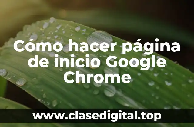 Cómo hacer página de inicio Google Chrome