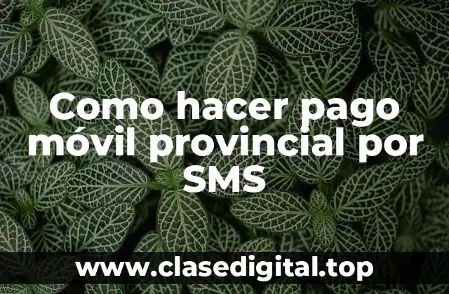 Como hacer pago móvil provincial por SMS