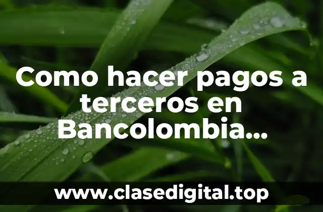 Como hacer pagos a terceros en Bancolombia Empresas