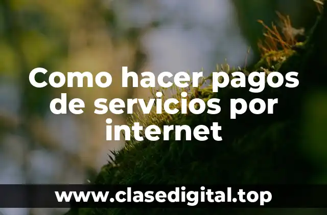 Como hacer pagos de servicios por internet