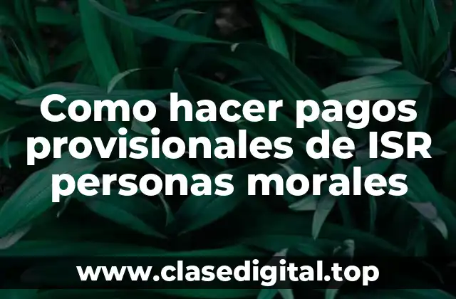 Como hacer pagos provisionales de ISR personas morales