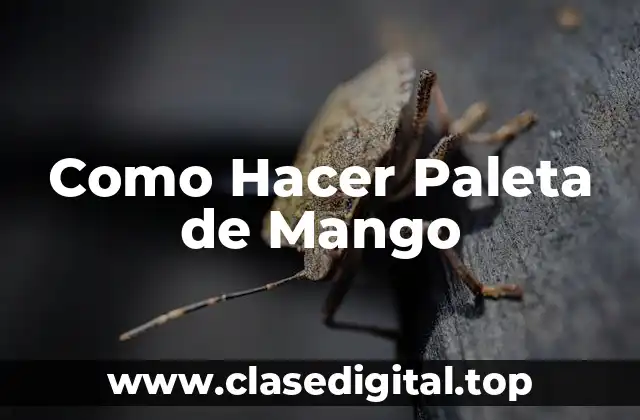 ¿Qué es una Paleta de Mango y cómo se Utiliza?