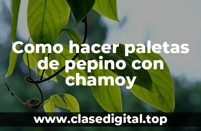 Como hacer paletas de pepino con chamoy