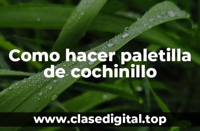 Como hacer paletilla de cochinillo