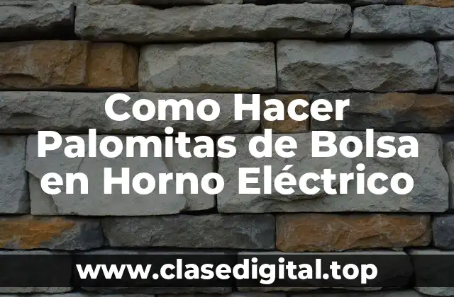Como Hacer Palomitas de Bolsa en Horno Eléctrico