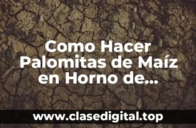 Como Hacer Palomitas de Maíz en Horno de Microondas