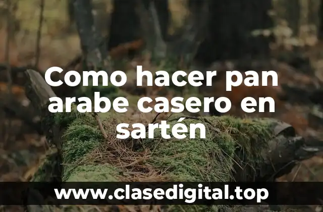 Como hacer pan arabe casero en sartén