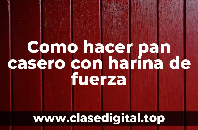 Como hacer pan casero con harina de fuerza