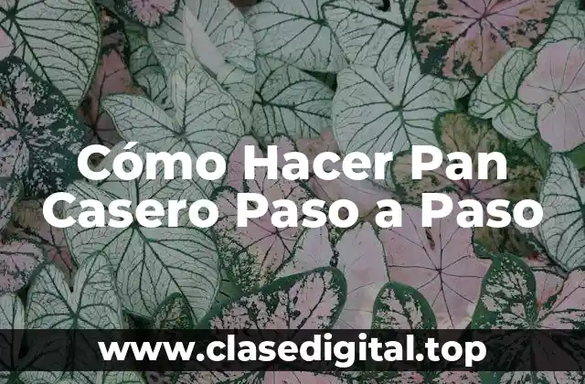 Cómo Hacer Pan Casero Paso a Paso