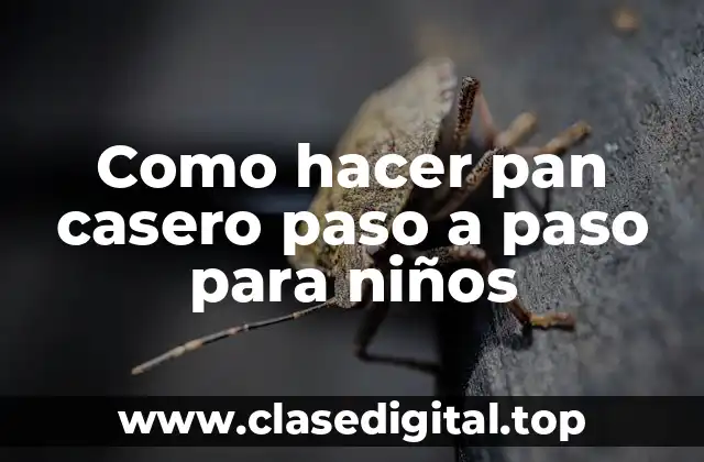 Como hacer pan casero paso a paso para niños