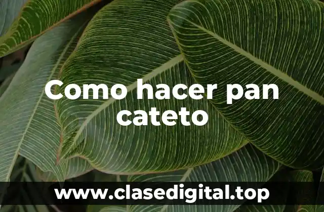Como hacer pan cateto