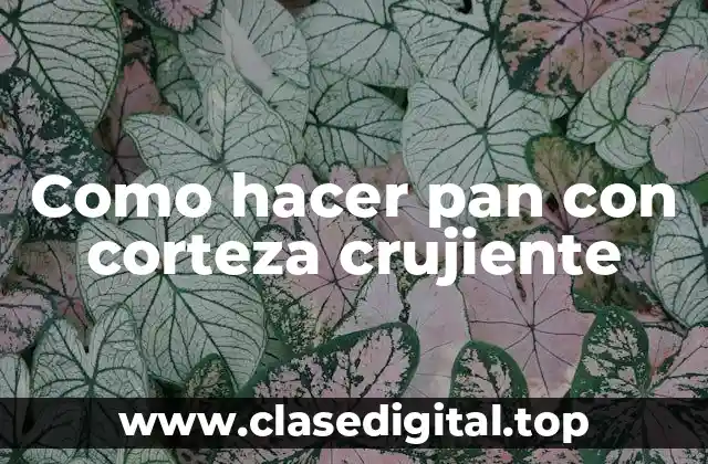 Como hacer pan con corteza crujiente