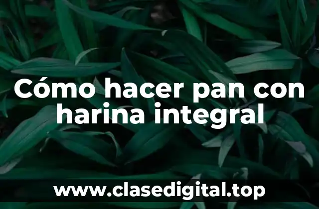 Cómo hacer pan con harina integral