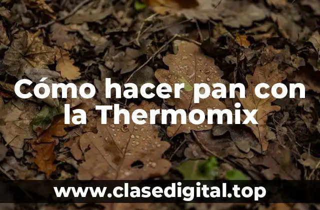 Cómo hacer pan con la Thermomix