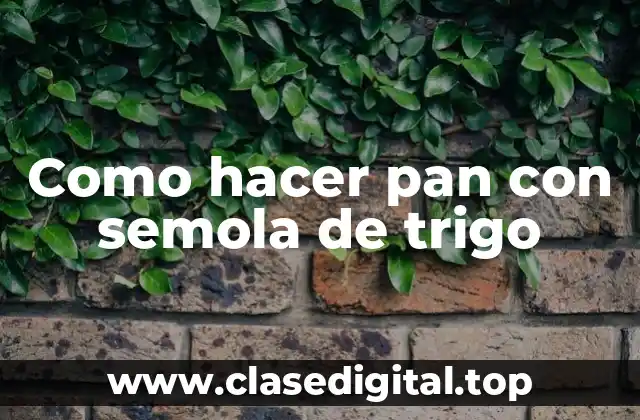 Pan con semola de trigo: qué es y para qué sirve