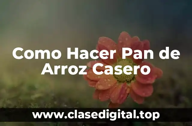¿Qué es el Pan de Arroz Casero y para Qué Sirve?