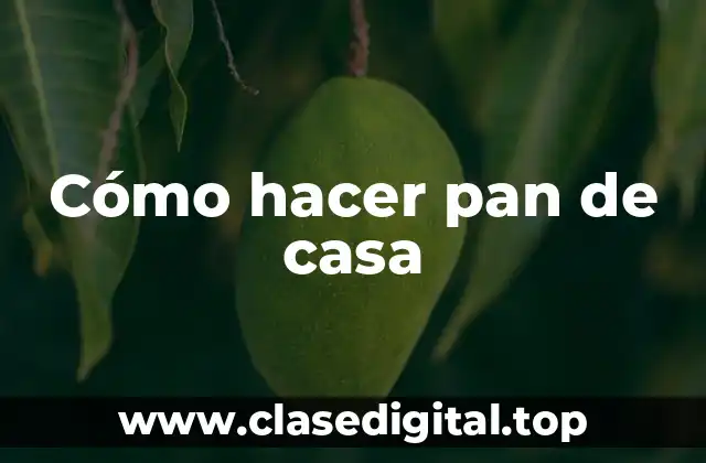 ¿Qué es el pan de casa y cómo se hace?